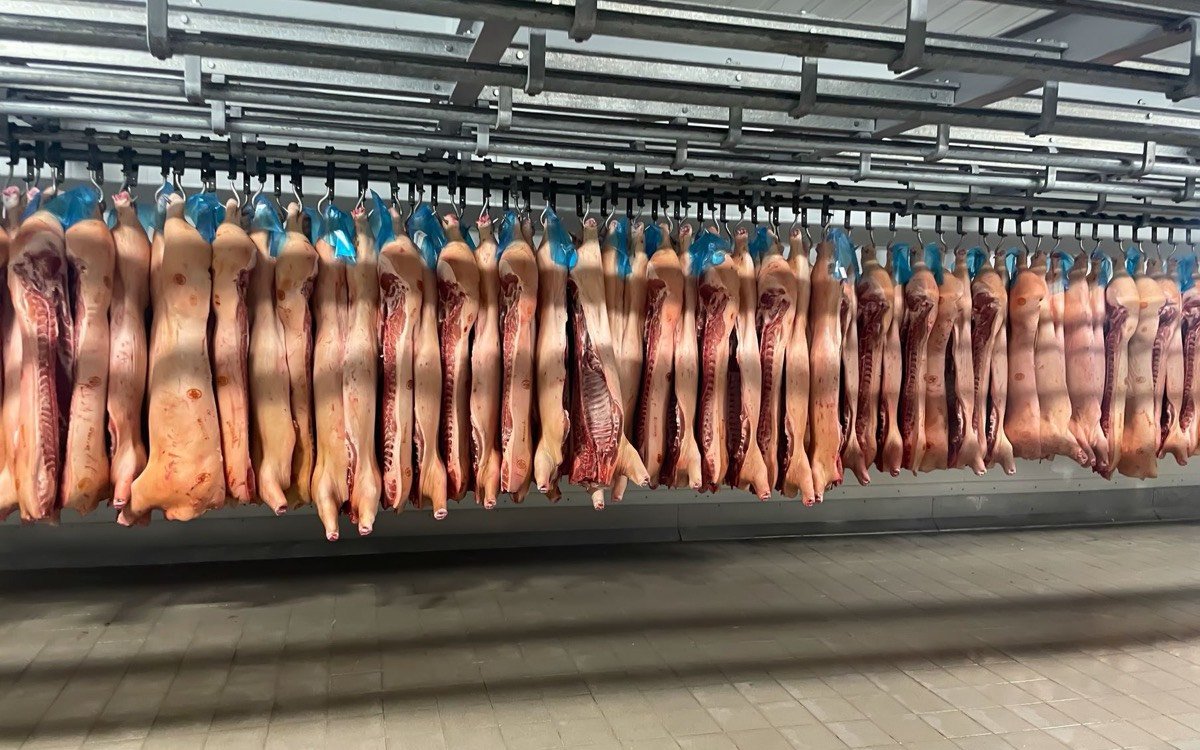 Almacenamiento de perecederos y cadena de frío